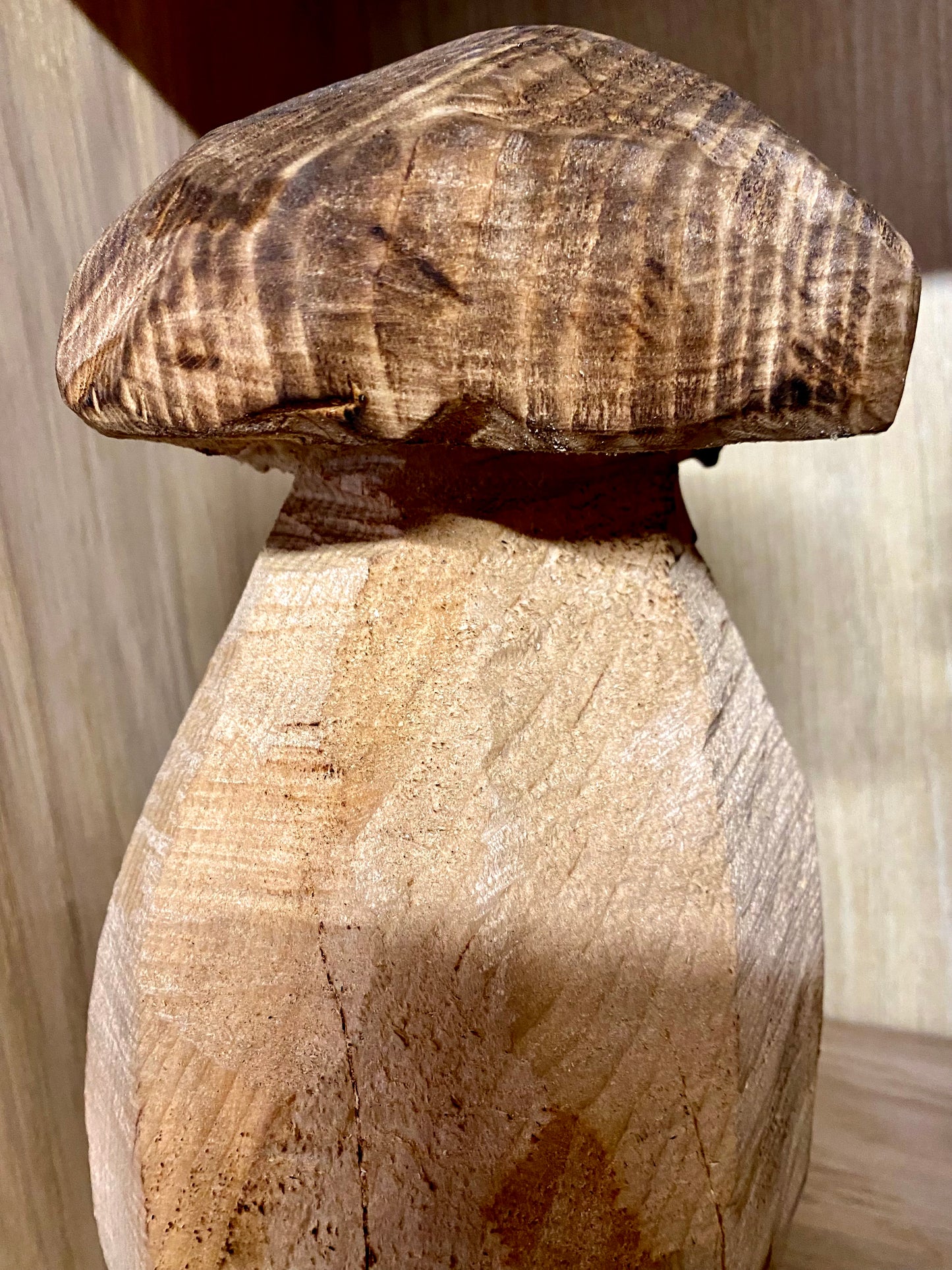 Fungo in legno
