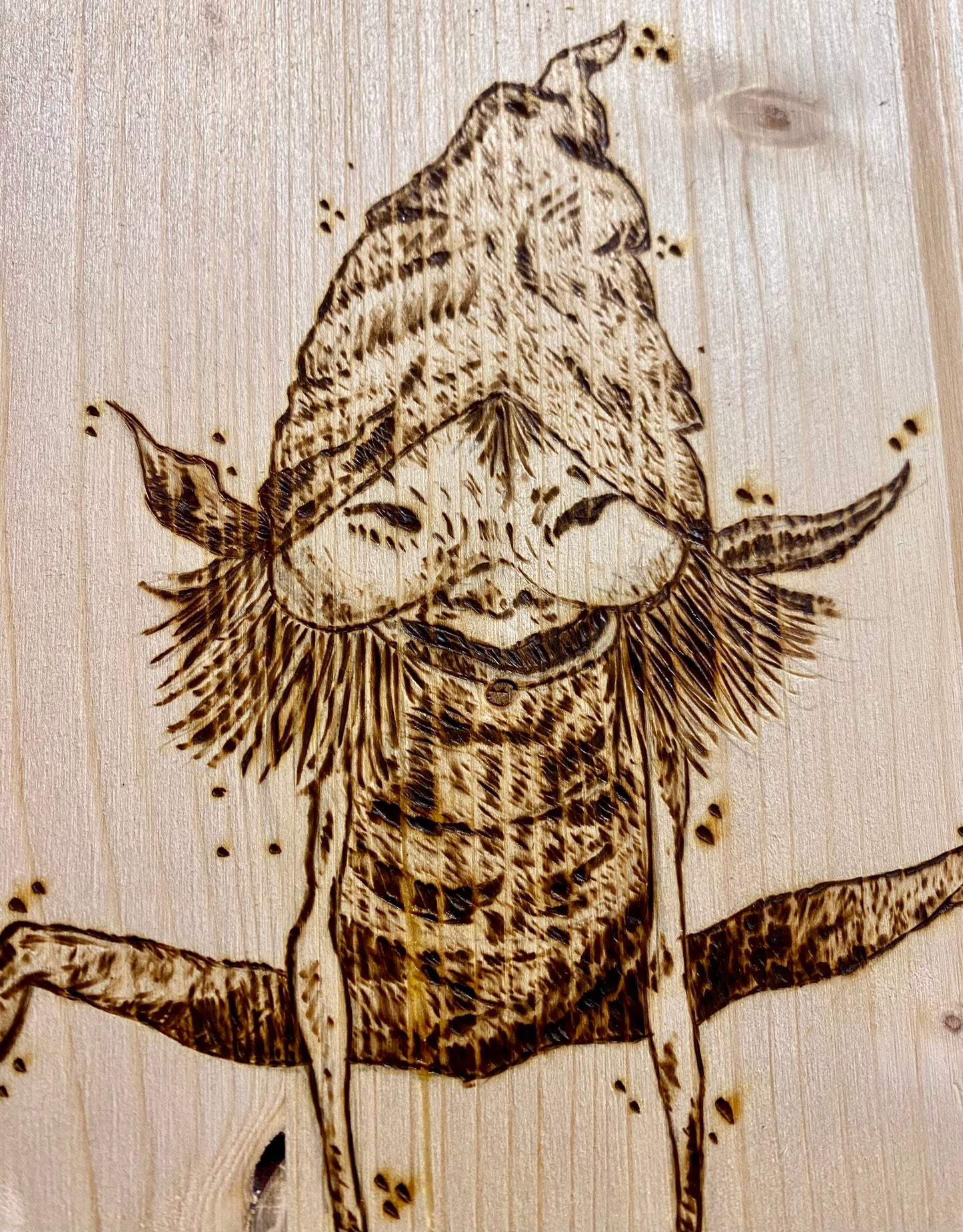 Pirografia Pixie