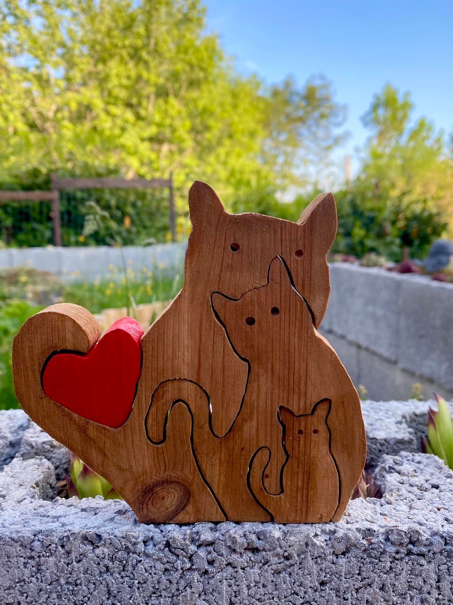 Loving cats family