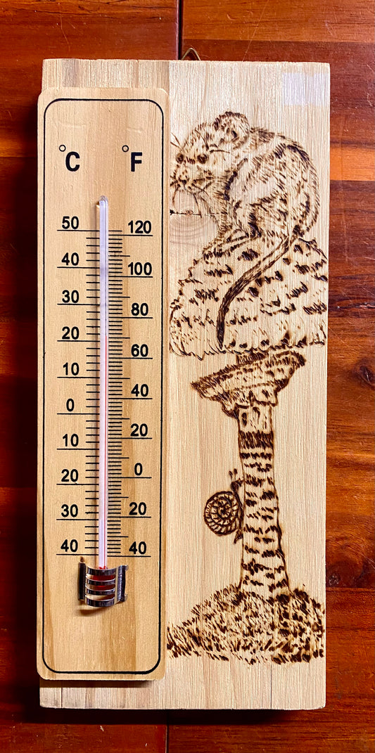 Termometro in legno